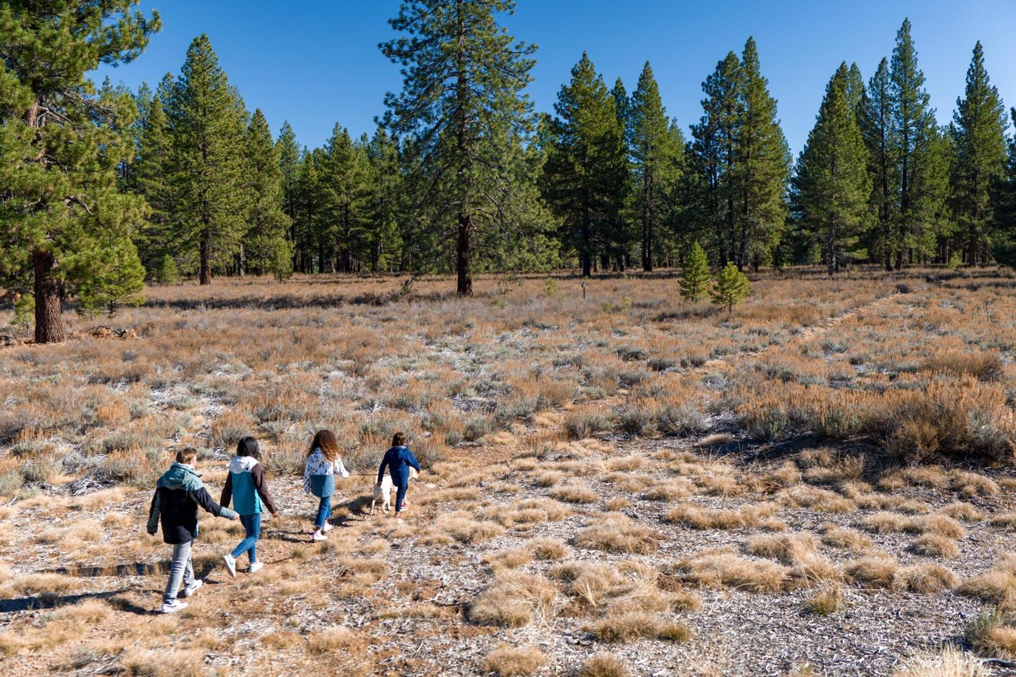 The Cottages - Golf, Pool, Play - 2-Bedroom Truckee Esterno foto